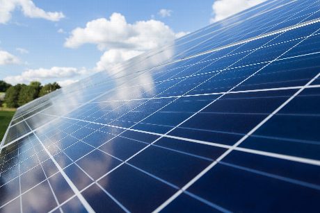 PV-Panel Wald